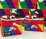 Nike SB Dunk Low Chicago Sneaker Shoebox Design AirPod Case